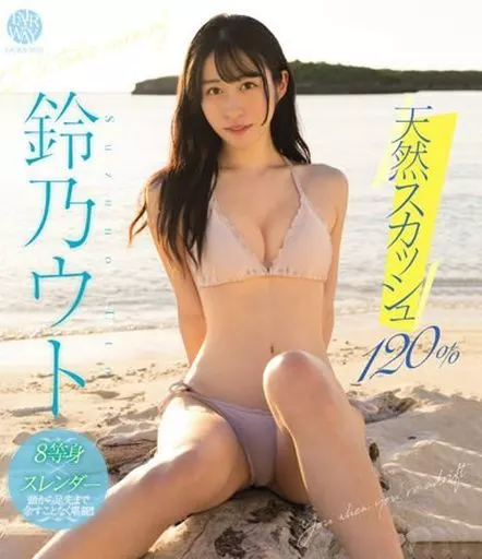 性版17